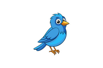 blue bird isolated on white background