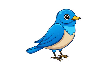 blue bird isolated on white