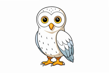 owl on white background
