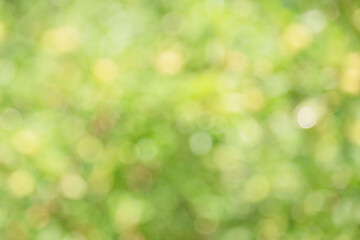 Abstract natural background defocus lights. Blurred tree with green leaves.