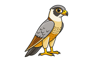 bird of prey isolated