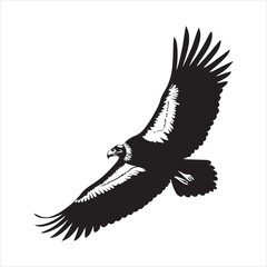 california-condor-vector-