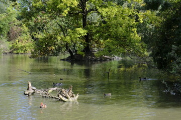 Parco cittadino in settembre