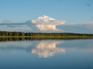 A large white cloud over a lake during a calm summer. A cloud is reflected in a lake. Reeds on the lake, forest on the horizon