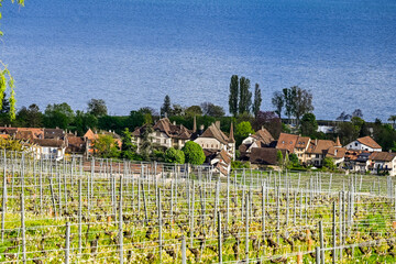 Auvernier, Weindorf, Weinberge, Winzerhäuser, Weinbauer, Neuenburgersee, Seeufer, Wanderweg, Frühling, Sommer, Neuenburg, Schweiz