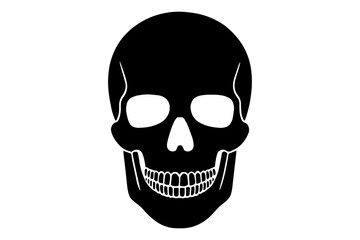 silhouette of  skull, Halloween spooky anatomy