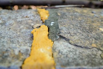 A wall that is plastered. It is paved with stone from above and has a crack that is closed with purpen or foam