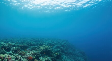 Fototapeta premium Underwater Coral Reef Ecosystem With Sunlight Filtering Through Ocean Water