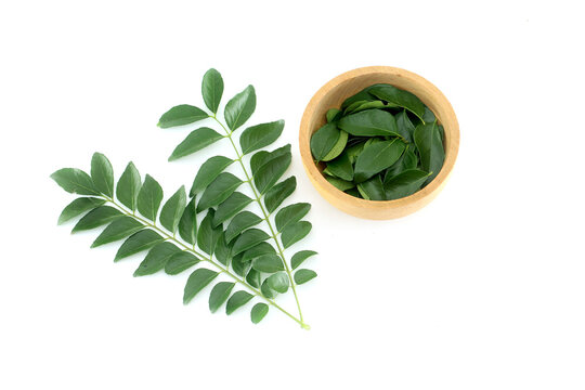 Fresh muraya koningii (sweet neem) pinnates and leaves in wooden bowl on white background
