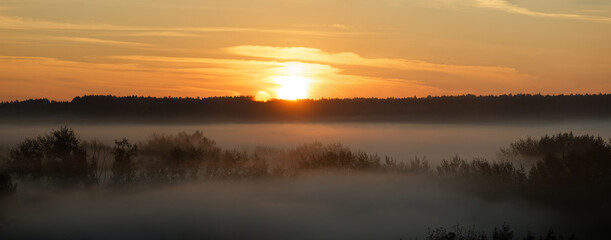 Panoramic view of foggy sunrise in the forest