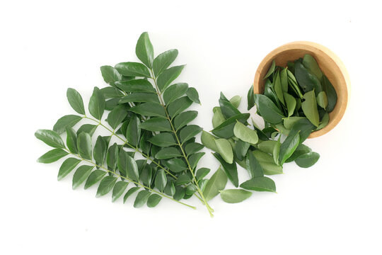 Fresh muraya koningii (sweet neem) pinnates and leaves in wooden bowl on white background