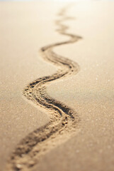 footprint on the sand