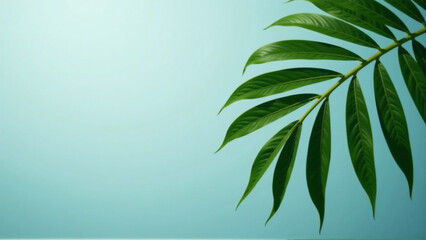 Fototapeta premium Serene Blue Palm Leaf Solitaire with Copy Space