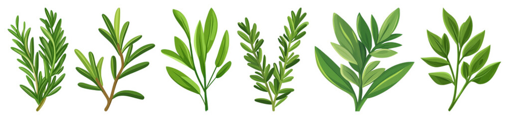 PNG Green botanical leaf illustrations, element set on transparent background