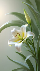 Fototapeta premium create a delicate and elegant Lily flower