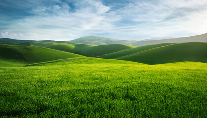 Fototapeta premium Lush Emerald Grass Field With Perfect Texture Stretching Across Natural Landscape
