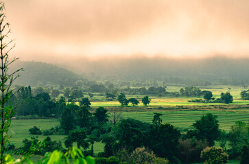Beautiful view of morning light hitting fog, mountains, trees and green rice fields in the countryside in Chiang Rai. Northern Thailand.