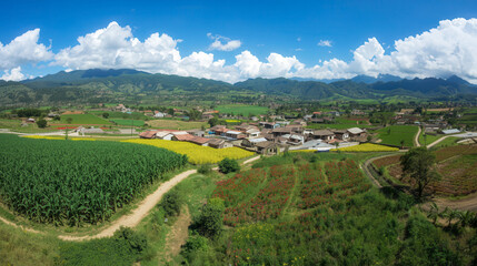 Fototapeta premium Rural village in mountain valley with terraced fields and vibrant crops