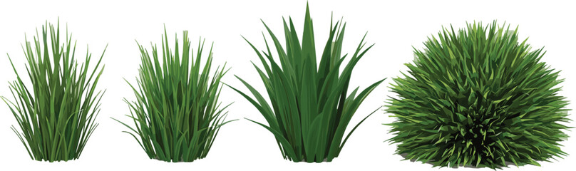 Fototapeta premium Realistic set of various green plant and grass illustrations. Isolated collection of lawn tufts and a round bush for nature and garden design elements