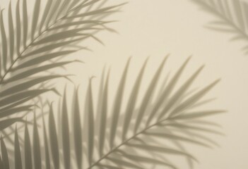 Obraz premium Exploring the serenity of palm shadows in soft light nature photography calm environment close-up view
