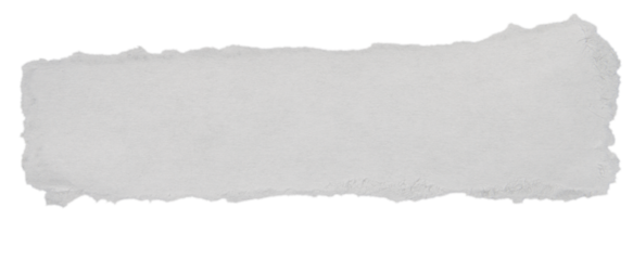 Isolated white torn paper rectangle with rough edge