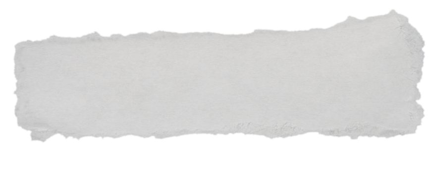 Isolated white torn paper rectangle with rough edge