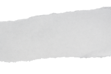 Vertical ripped paper sheet with uneven edge