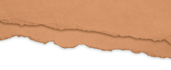 Narrow cardboard piece with ripped texture