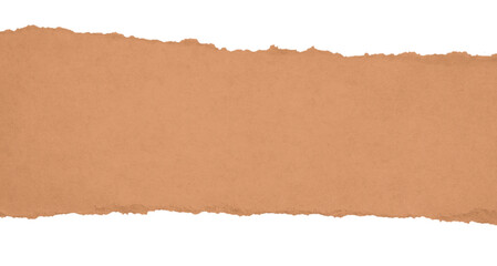 Horizontal cardboard piece with uneven ripped side