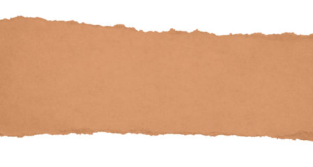 Horizontal cardboard piece with uneven ripped side