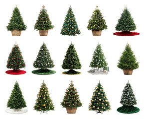 Obraz premium PNG Festive decorated Christmas trees collection, element set on transparent background