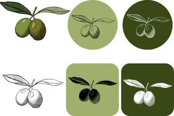 olive branches with leaves, logotype. Vector graphic line ink colored illustration. Line drawing, silhouette of olives, flat design. A simple element for decoration, design