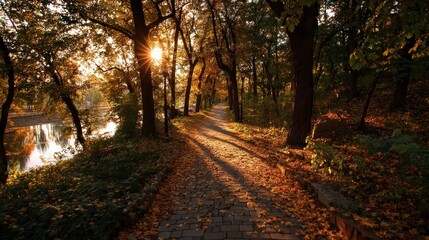 Obraz premium Autumn path through park sunlight