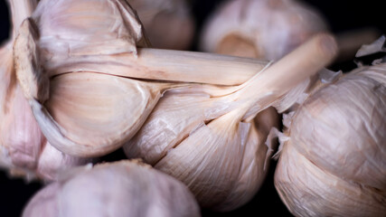Garlic bulbs on black background, close-up. Organic garlic top view. Food background. Selective...