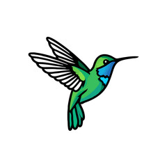 Fototapeta premium Green Hummingbird Flying with Wings Spread on White