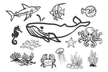 Hand drawn sea life icon set with ocean animals in a doodle sketch style