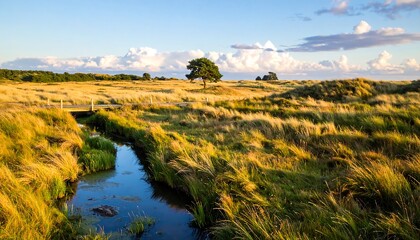 Fototapeta premium A tranquil, sun-drenched landscape with a winding stream, a small wooden bridge, and tall grasses under a vibrant sky filled with fluffy clouds.