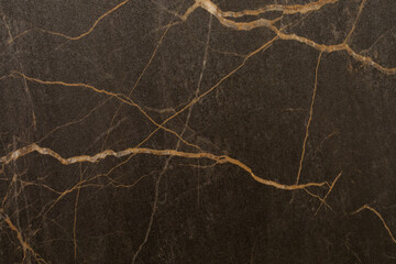 Dark marble surface with golden veins showcasing natural stone beauty in home interior design