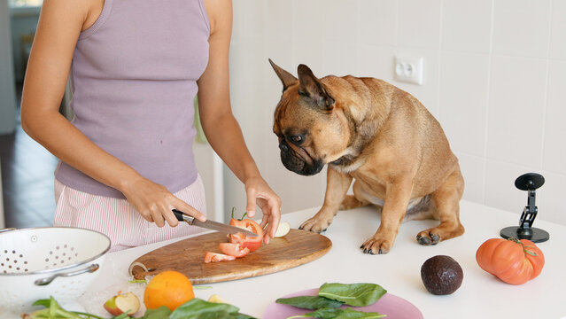 The process of preparing fresh, vibrant ingredients alongside a curious dog in the kitchen