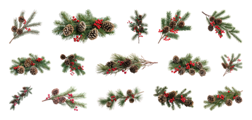 PNG Festive pinecone and holly arrangements, element set on transparent background