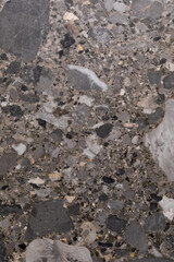 Unique texture of polished concrete showcasing mineral and stone fragments under natural light