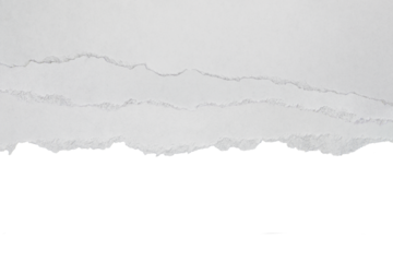 orn paper strip with ripped texture isolated