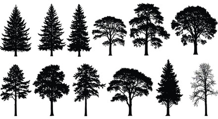 Collection of silhouetted trees diverse shapes and sizes against a white backdrop