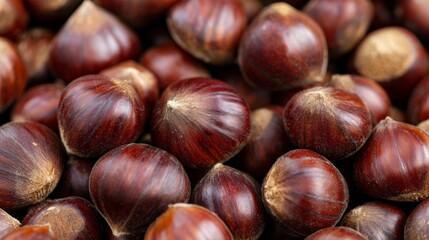 Fresh organic chestnuts close-up with rich brown shells and textured surface
