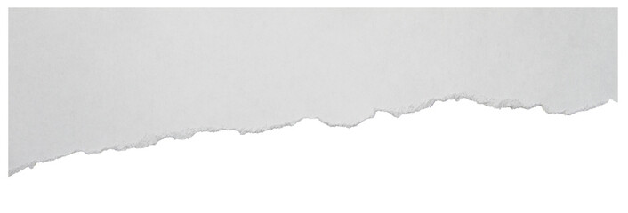 Torn paper element with soft rough border isolated