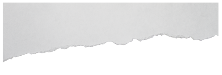 Torn paper element with soft rough border isolated