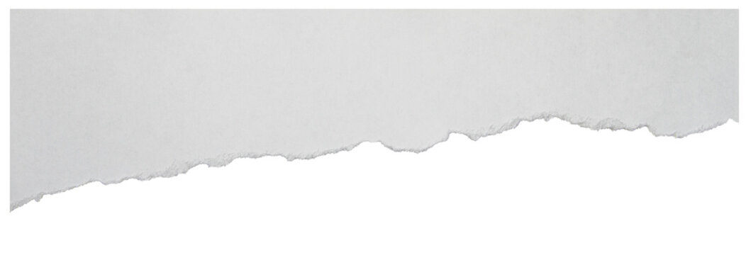 Torn paper element with soft rough border isolated