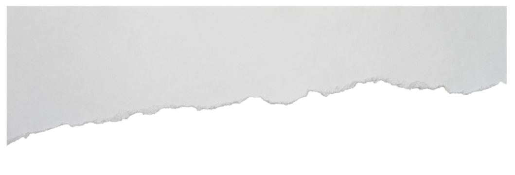 Torn paper element with soft rough border isolated