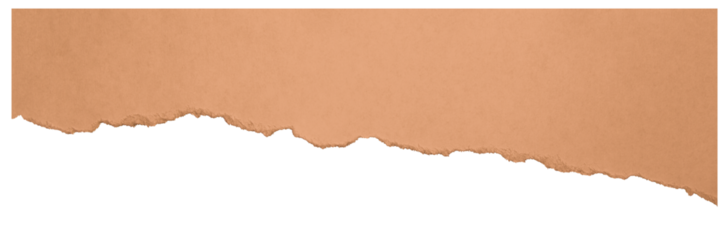 Wide ripped cardboard piece with uneven border