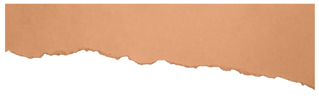 Wide ripped cardboard piece with uneven border